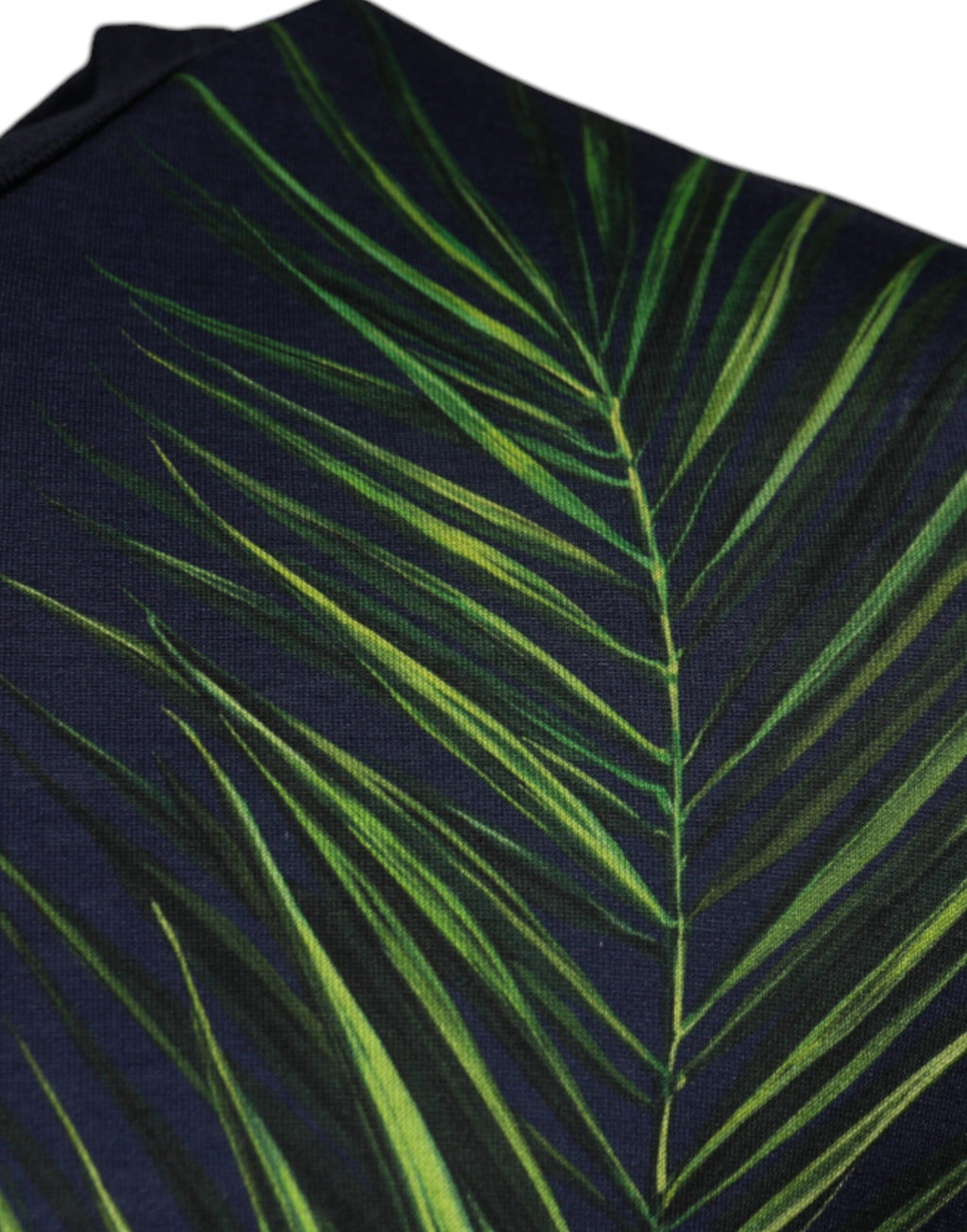Camiseta de manga corta con cuello redondo y estampado de árbol azul de Dolce &amp; Gabbana